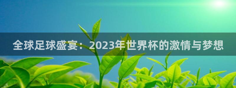 全球足球盛宴：2023年世界杯的激情与梦想