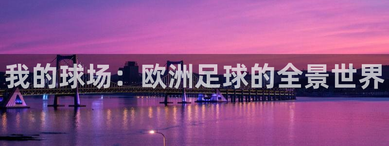 我的球场：欧洲足球的全景世界