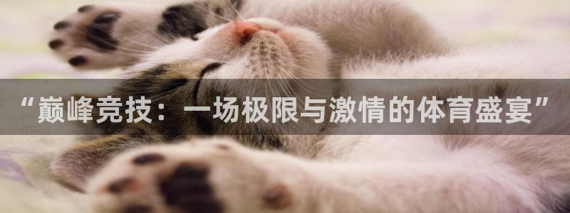 “巅峰竞技：一场极限与激情的体育盛宴”
