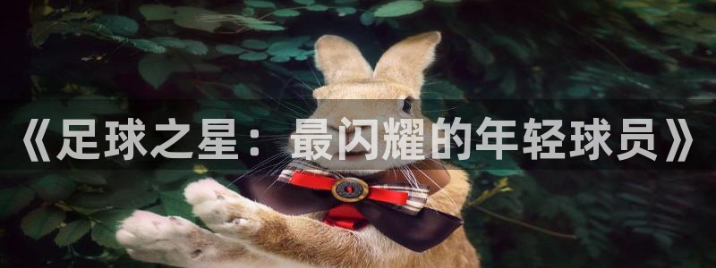 《足球之星：最闪耀的年轻球员》