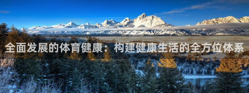 全面发展的体育健康：构建健康生活的全方位体系