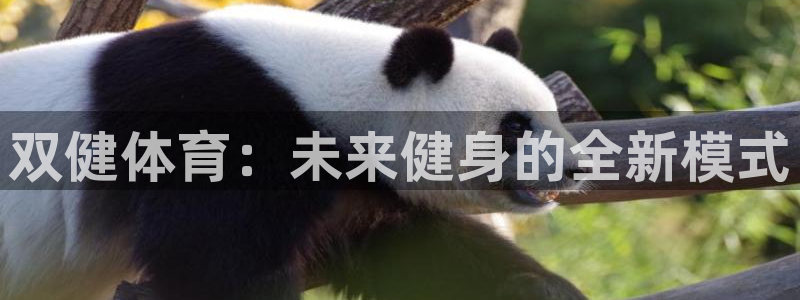 双健体育：未来健身的全新模式