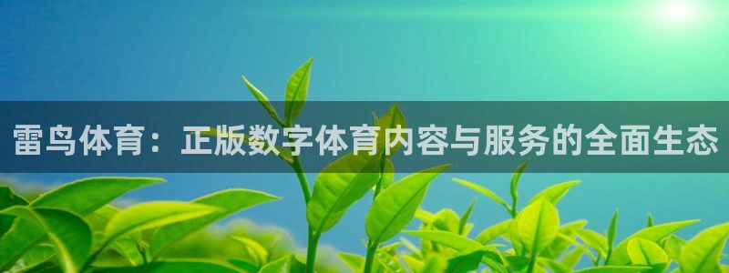 雷鸟体育：正版数字体育内容与服务的全面生态