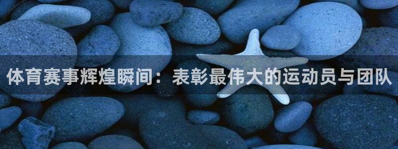 体育赛事辉煌瞬间：表彰最伟大的运动员与团队