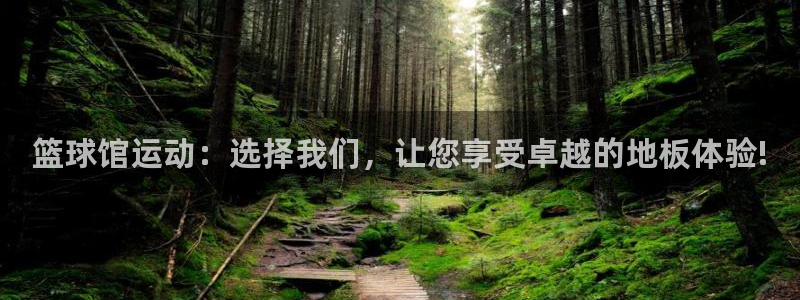 篮球馆运动：选择我们，让您享受卓越的地板体验!