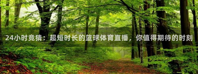 288体育app