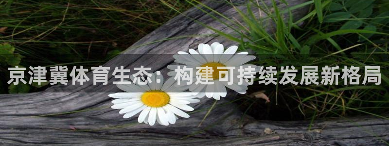 88体育直播app软件下载