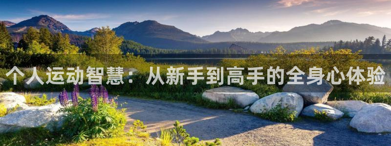 8868体育app：个人运动智慧：从新手到高手的全身心体验