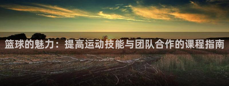 nba 88 直播：篮球的魅力：提高运动技能与团队合作的课程指南